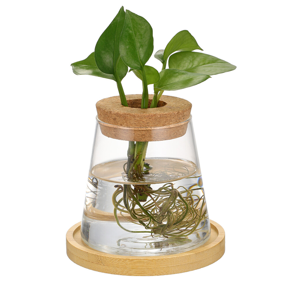 Hydroponic Glass Vase for Office Plants Desktop Propagation Holder  
