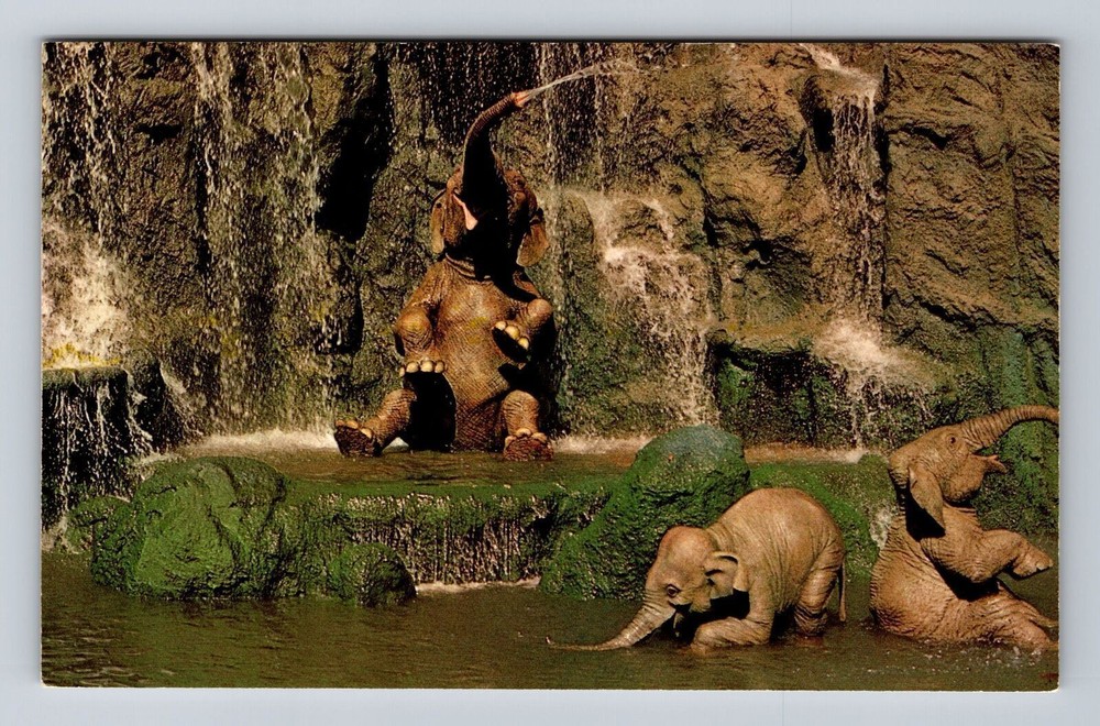 Vintage Walt Disney World Elephant Bathing Pool Orlando Florida Postcard