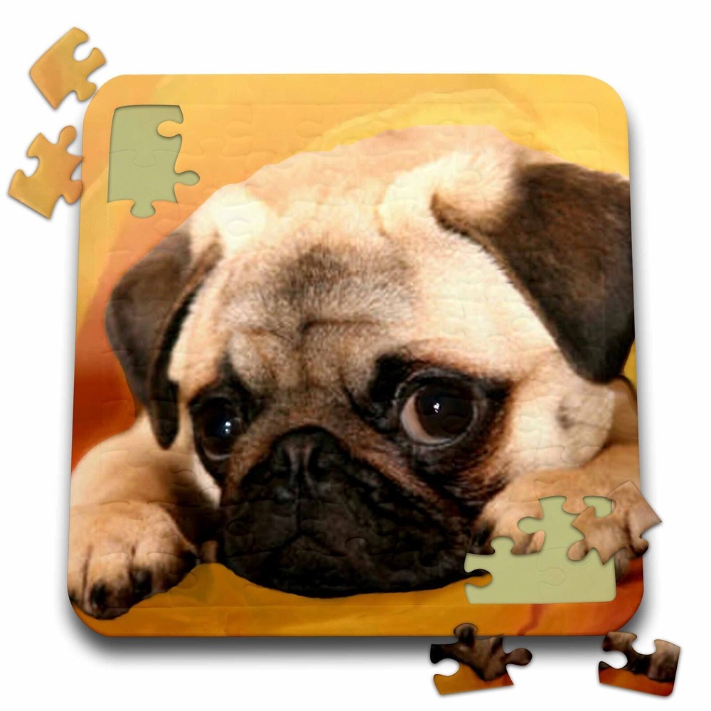 3dRose Pug 10x10 Inch Puzzle