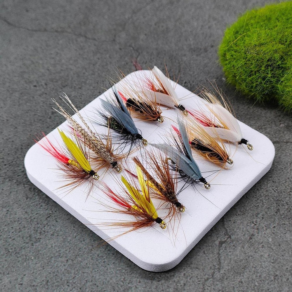 10 Pieces Fly Fishing Fly Assortment with Fly Box for Outdoor Salmon Trout