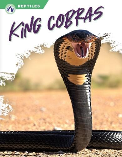 Deb Aronson King Cobras (Hardback) Reptiles