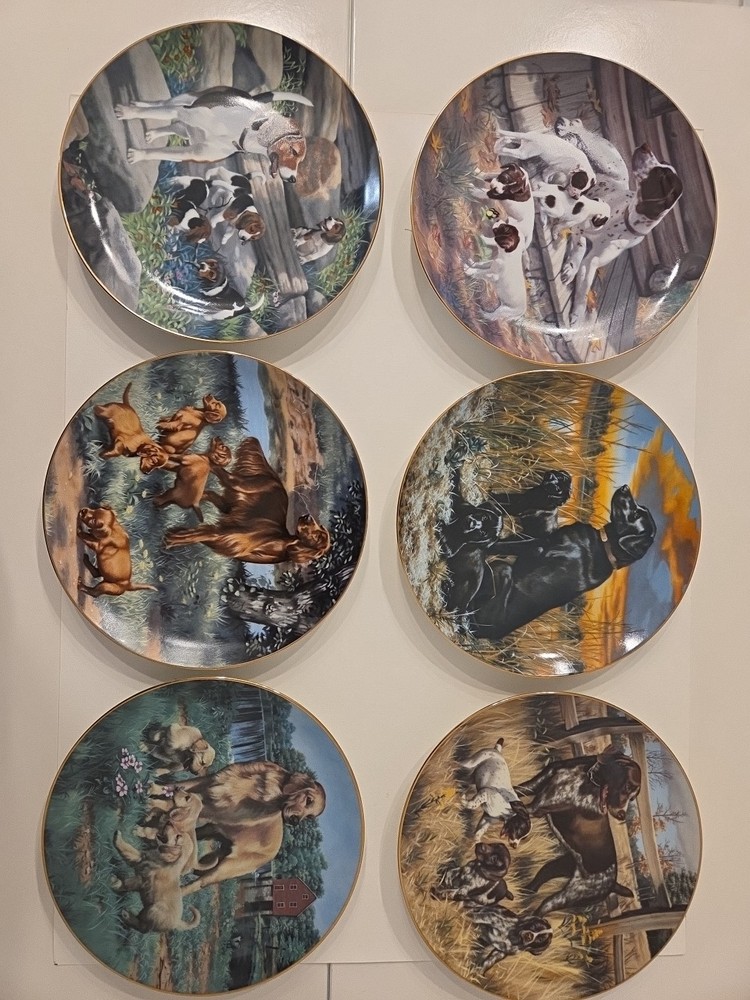 Classic Sporting Dogs-Robert Chiistie- Hamilton Collection 8 Plates