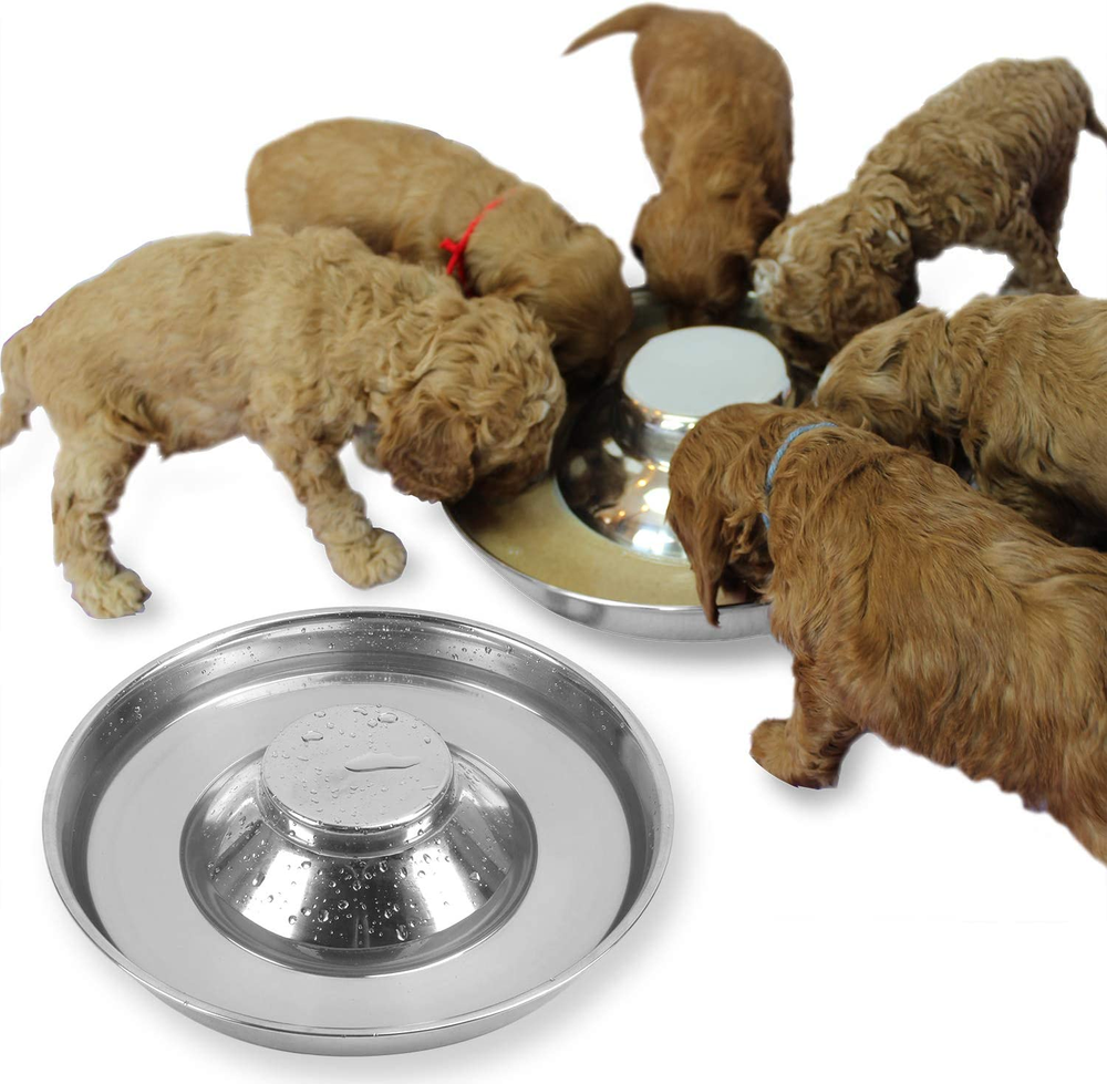 Stainless Steel Puppy Feeding Bowls 1or2 Pack, Food & Water Weaning Bowls Feeder