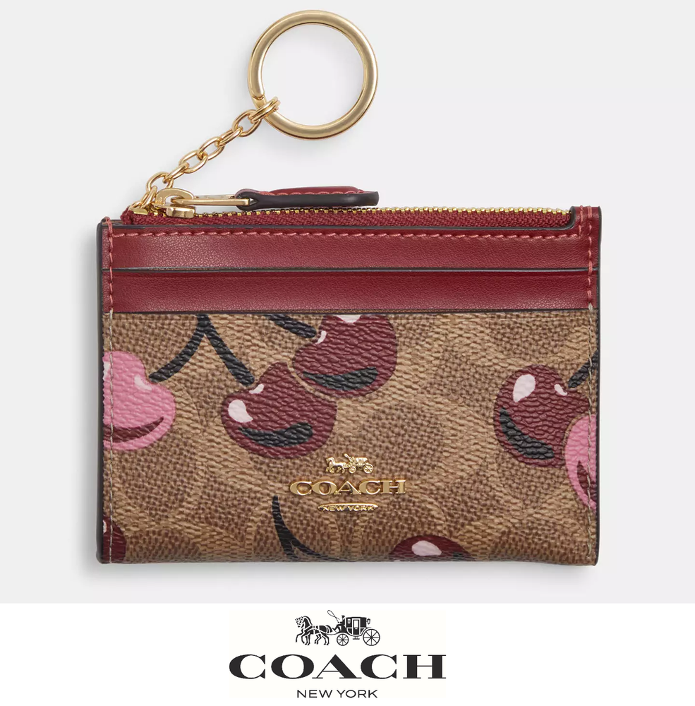 NWT Coach Mini Skinny ID Case Signature Canvas Cherry Print 🍒