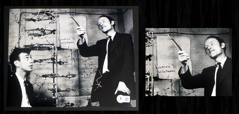 JAMES D. WATSON SIGNED & Beckett Certified 8x10 Photo (DNA, Double Helix, Crick)