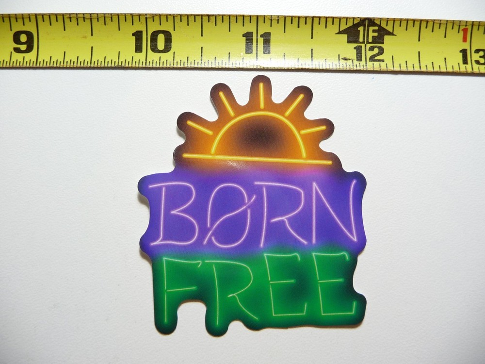 BORN FREE SUNNY STICKER DECAL NEON STYLE FUN PLAYFUL COLORFUL