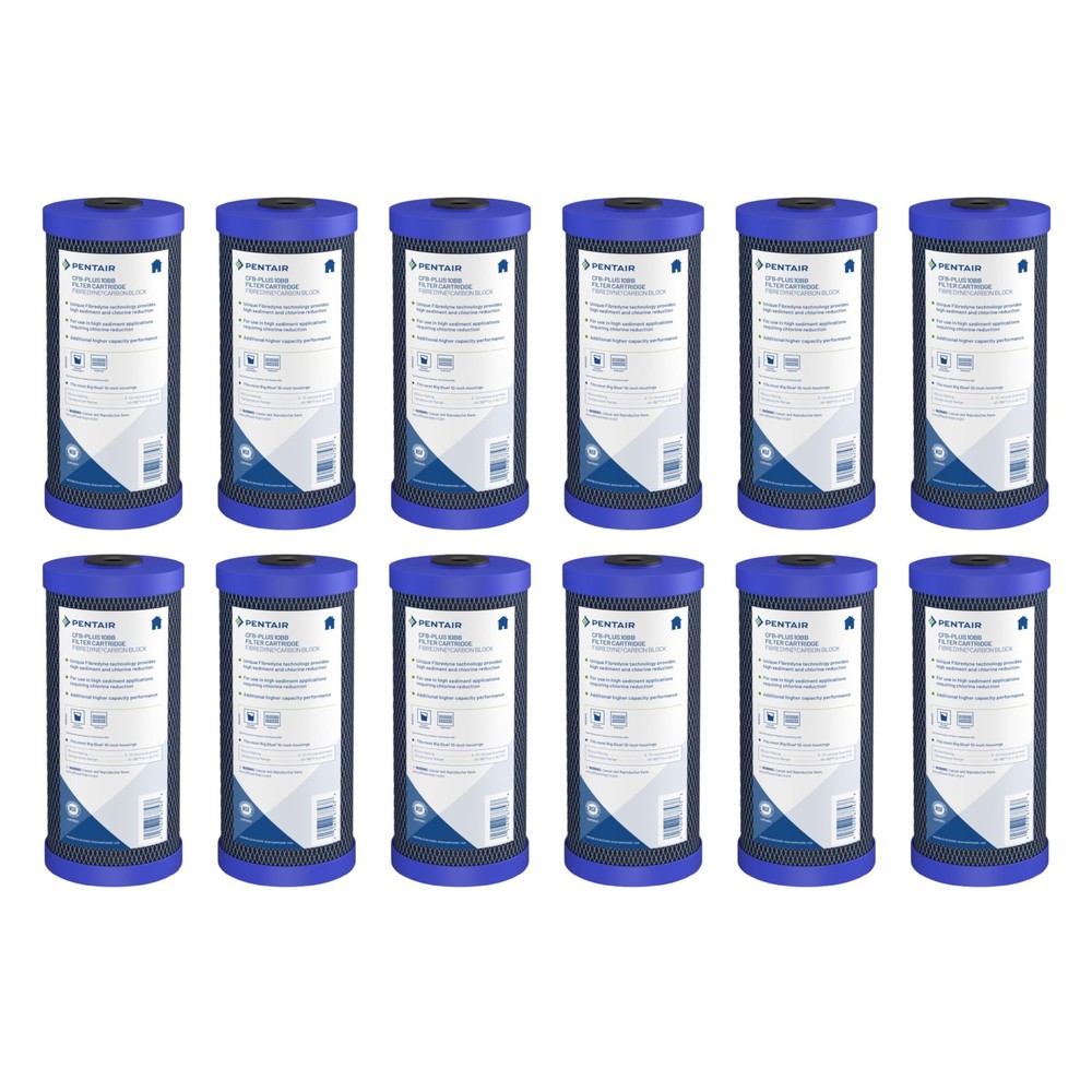 Pentair CFB-Plus10BB Big Blue Carbon Water Filter, 10-Inch, Whole House Fibre...