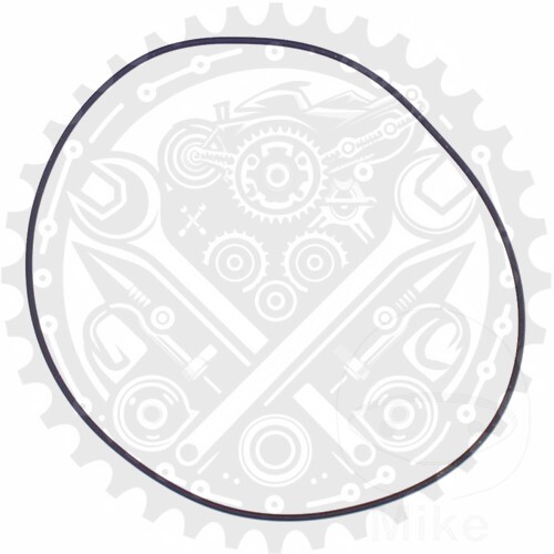 Athena Cylinder Head Gasket O-Ring Fits Gas Gas MC 250