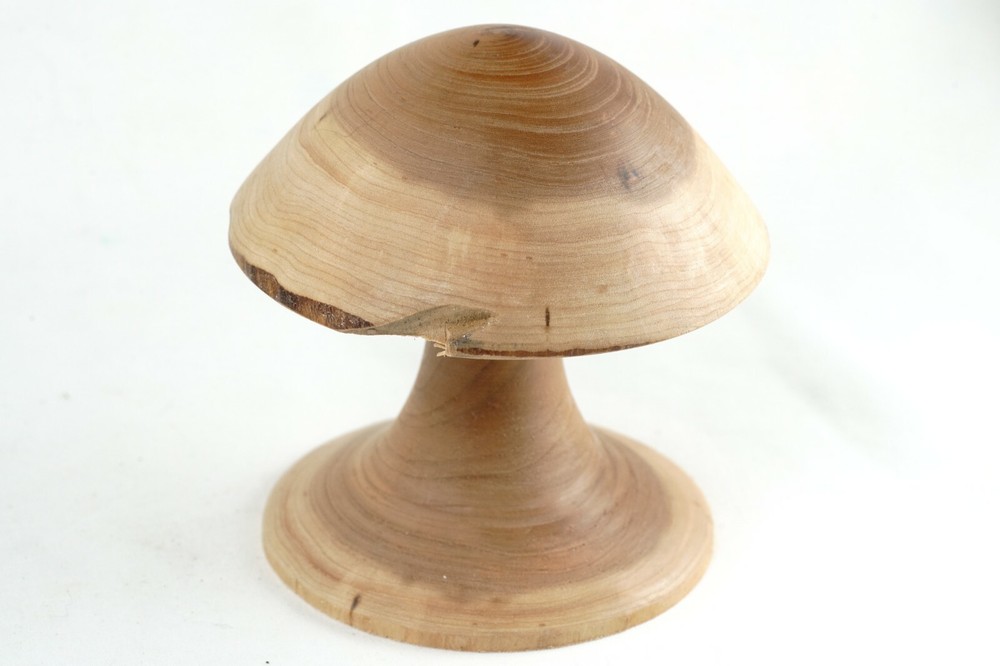 Mushroom Custom Hand Turned Wood Magic Mushroom Raw Rustic Psychedelic Art