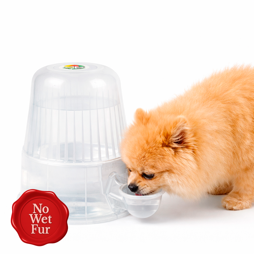 Vida Mansa Water Dispenser 67.6 oz / 2000 ml - for Dogs and Cats (No Wet Fur) Cl