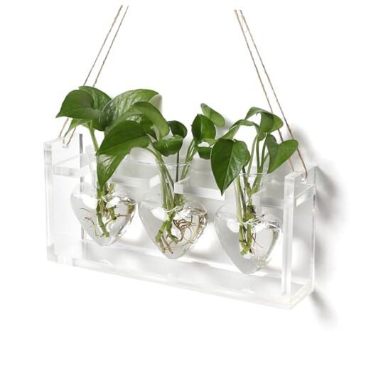 Plant Terrarium Unique Birthday Gift for Women Propagation Stations Transparent