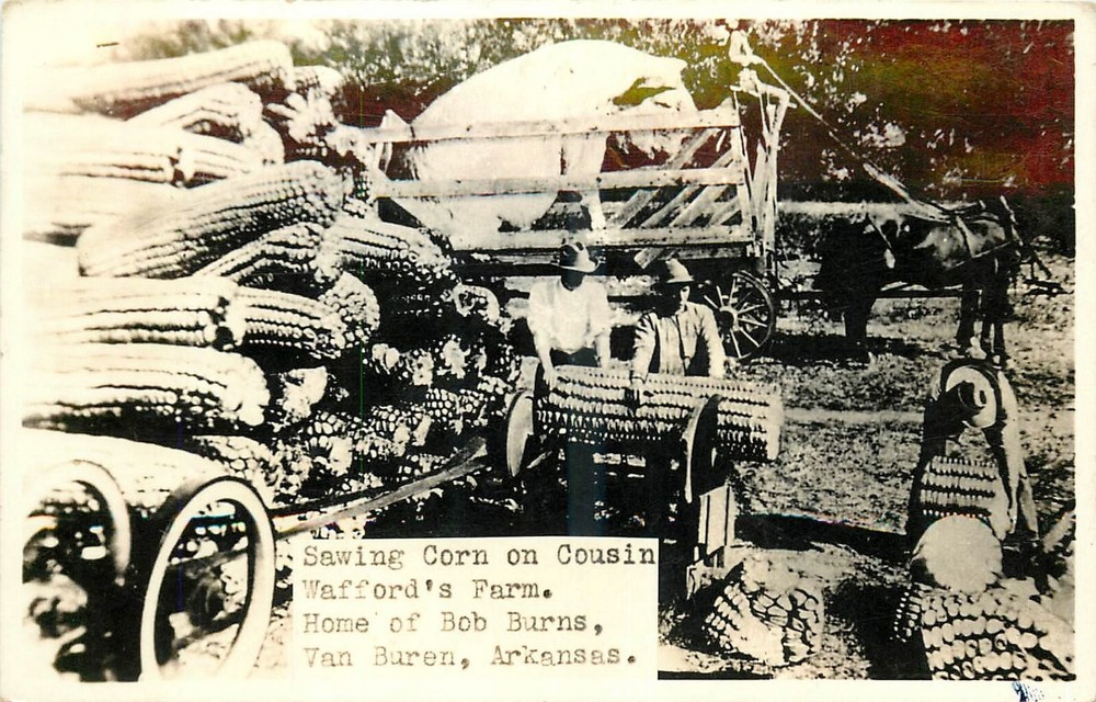 1930a Van Buren Arkansas Exaggeration Sawing Corn farm RPPC Postcard 25-5059