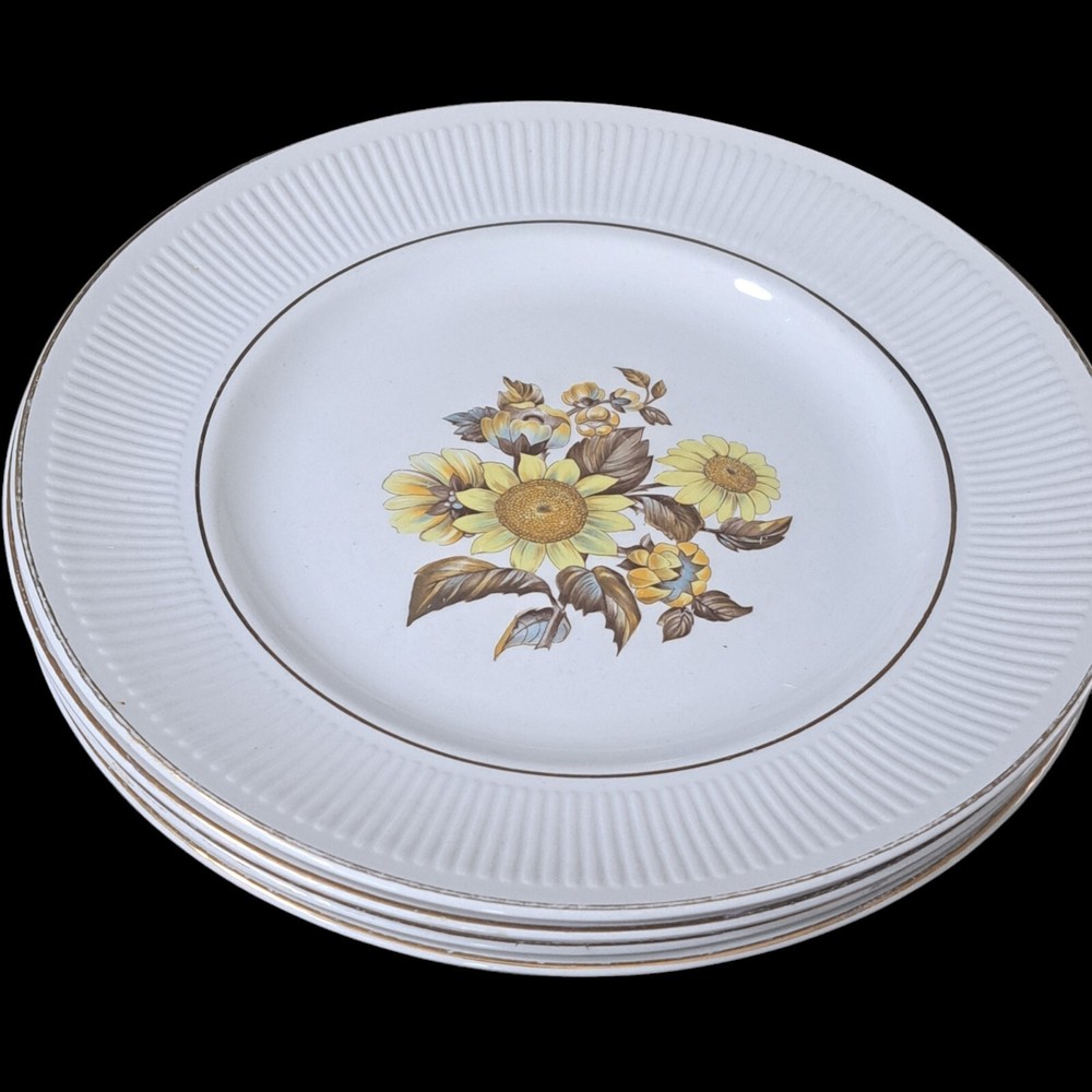 Vintage Sunflower Royal Warwick Dinner Plates 10