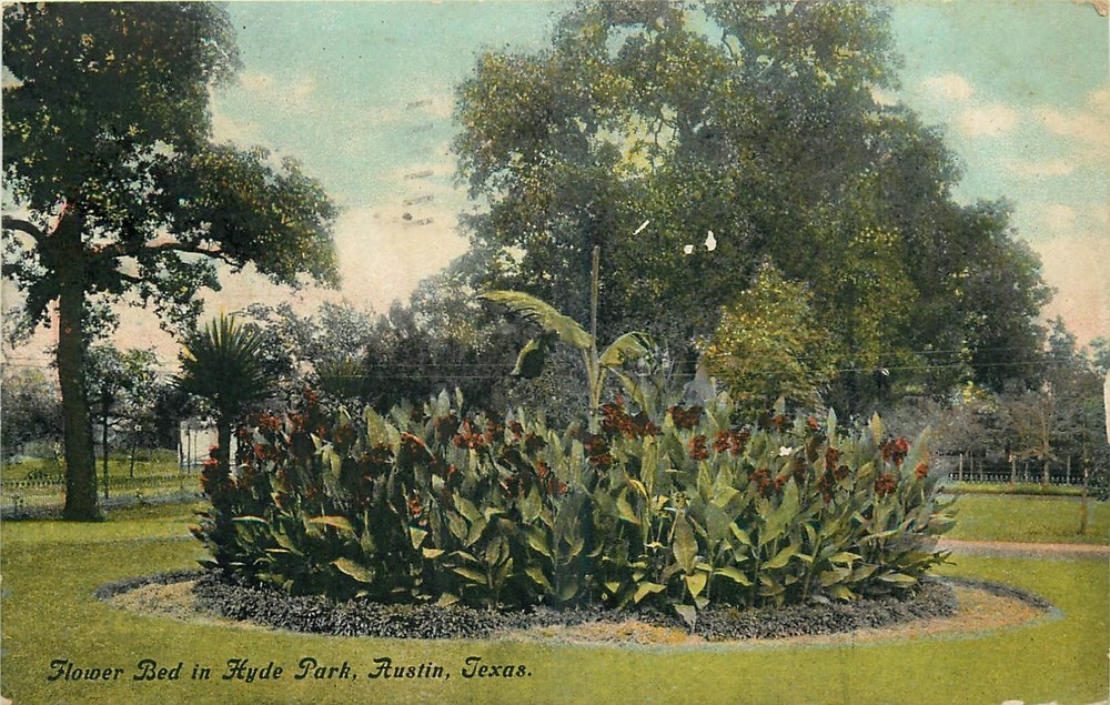 1910 Austin Texas Flower Bed Hyde Park Sauter Kuehne Postcard 25-9655