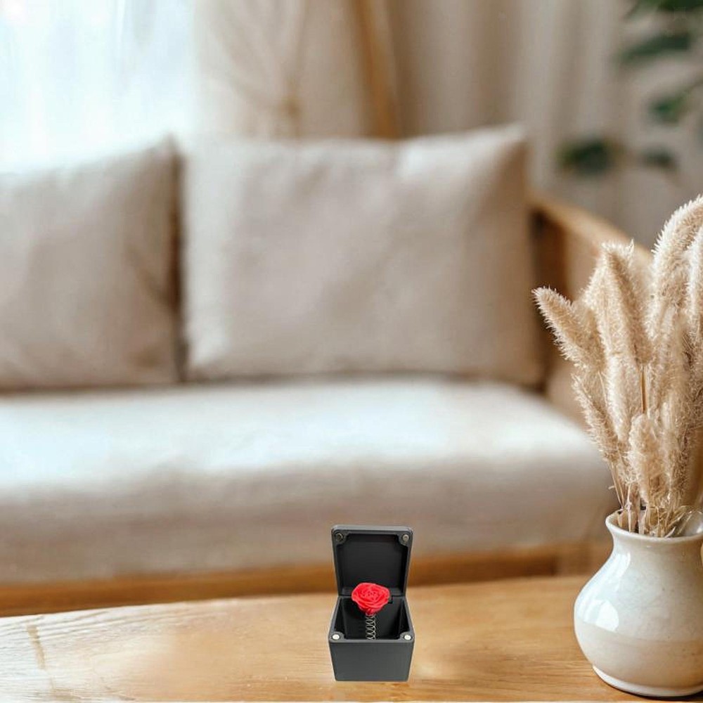 Valentines Day Surprise Case Funny Rose Gifts for Home Party Office