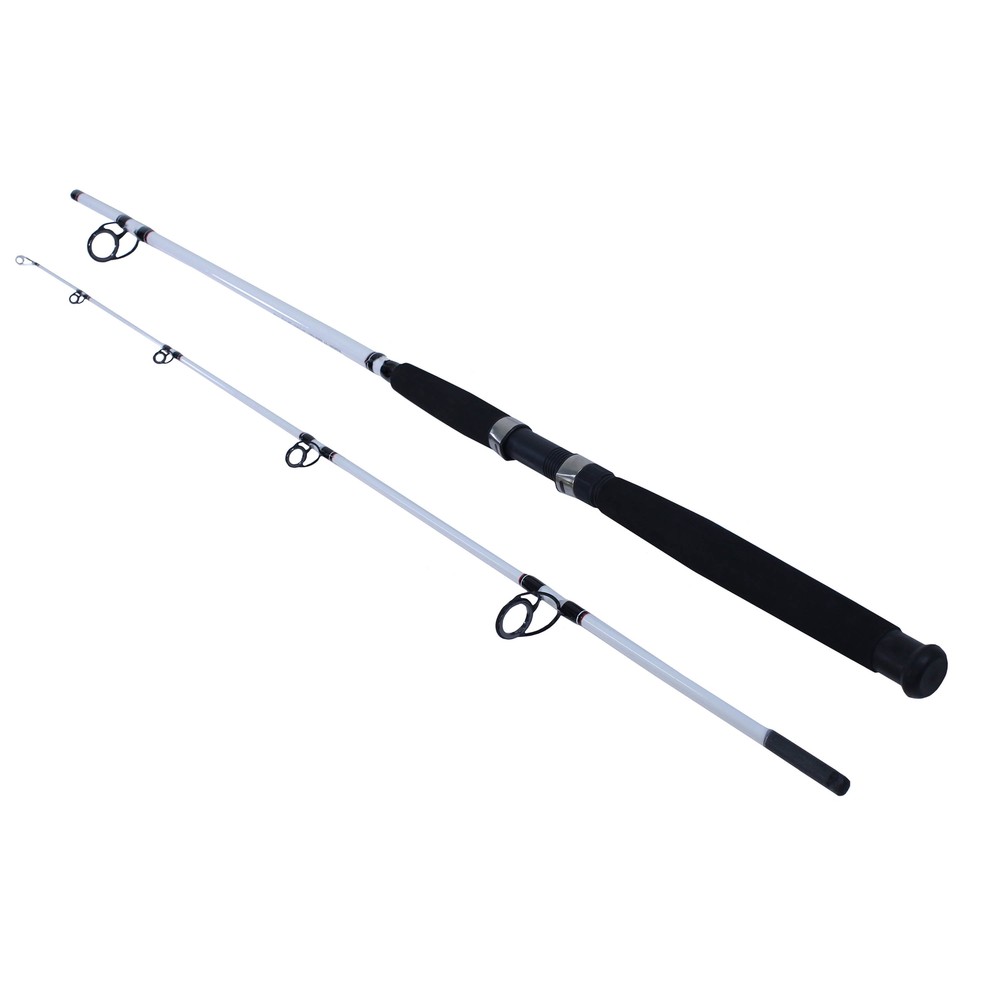 Berkley Big Game Spinning Rod 8ft Medium Heavy 2-Piece Fishing Rod