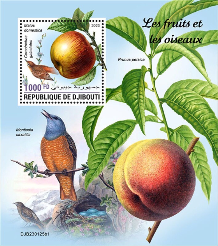 Djibouti - 2023 Fruits & Birds, Robin - Stamp Souvenir Sheet - DJB230125b1