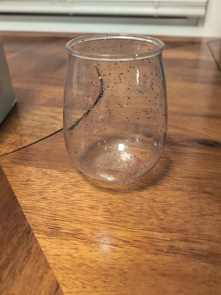 Ban.do Stemless Acrylic Wine Glasses Set of 4 Colorful Party Cups  