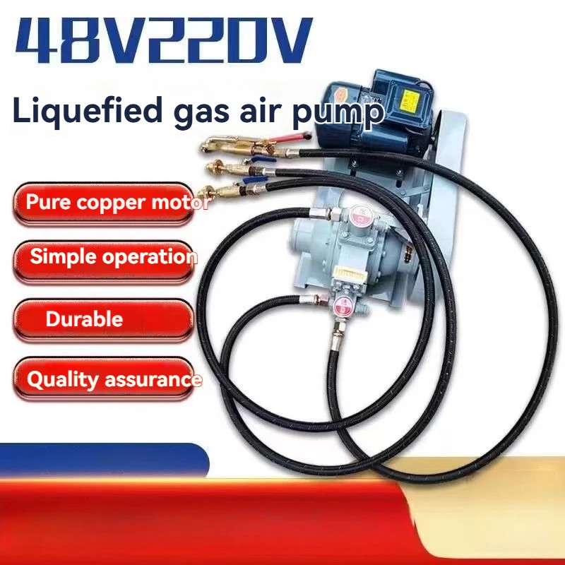 220V LPG Transfer Pump Household Propane Refill Pump Gas Transfer Pump