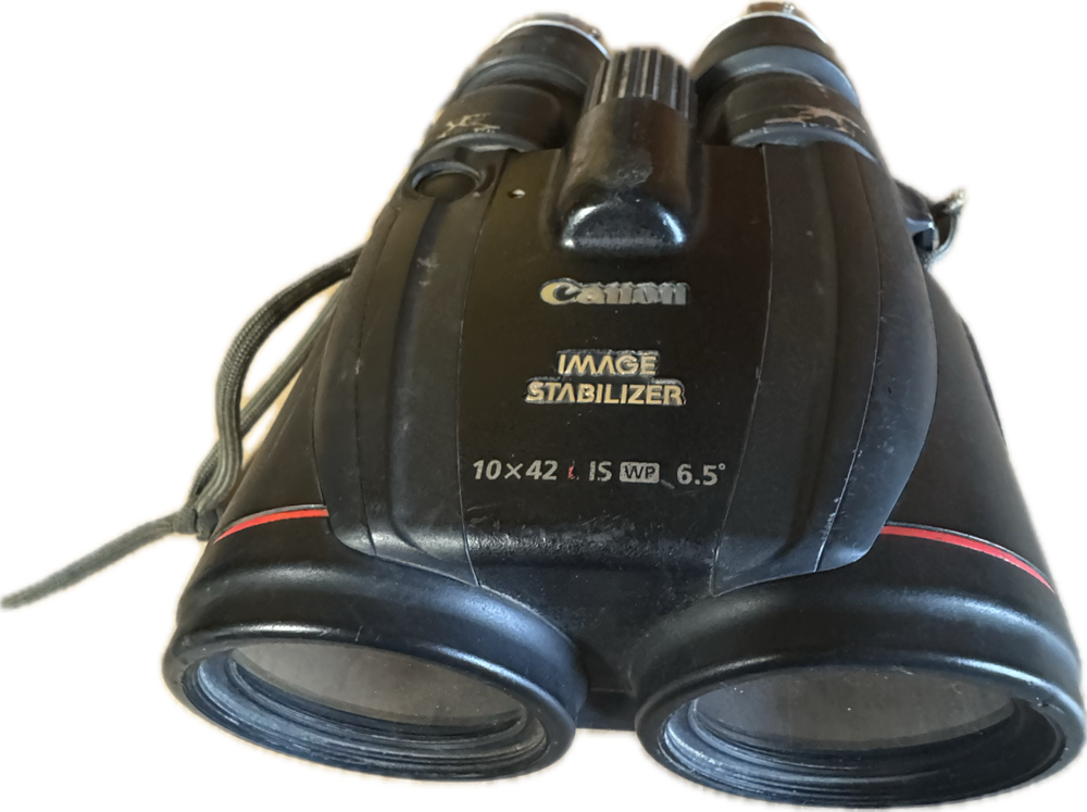 Canon 10x42 L IS WP 6.5° Image Stabilized Binocular GUARANTEED