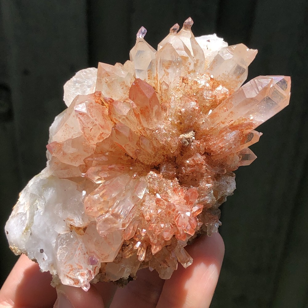 9.0cm Amethyst Reverse Sceptres Goboboseb Mountains Namibia