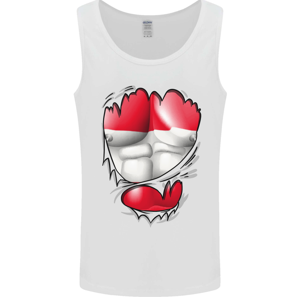 Gym The Austrian Flag Ripped Muscles Austria Mens Vest Tank Top
