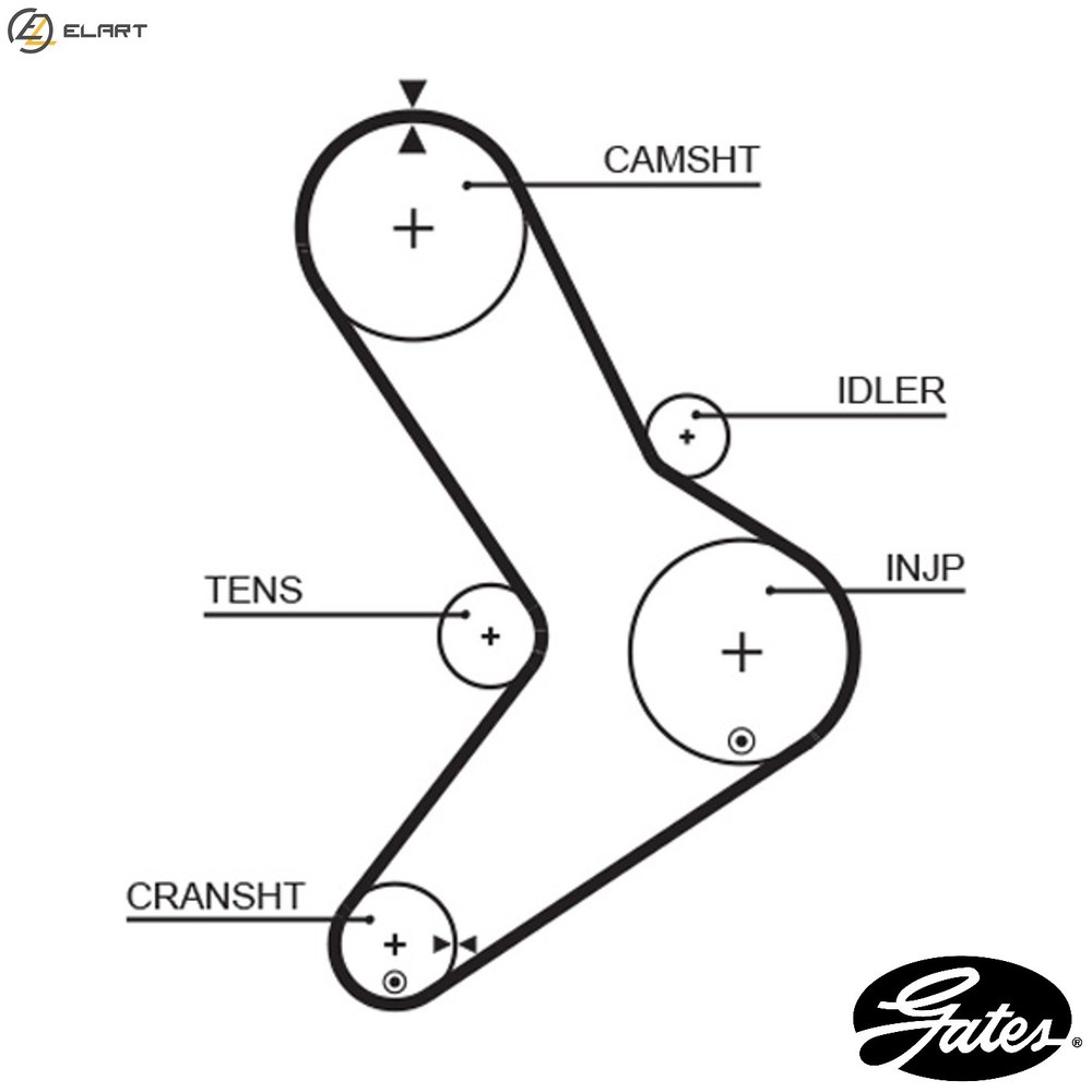 TIMING BELT 5334XS FOR RENAULT TRUCKS MASCOTT/Van/Platform/Chassis MESSENGER