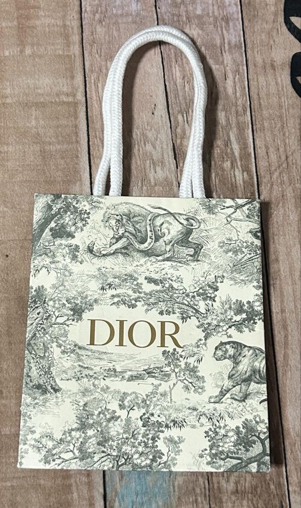 Dior Shopping Bag Paper Shopper Tote with Logo