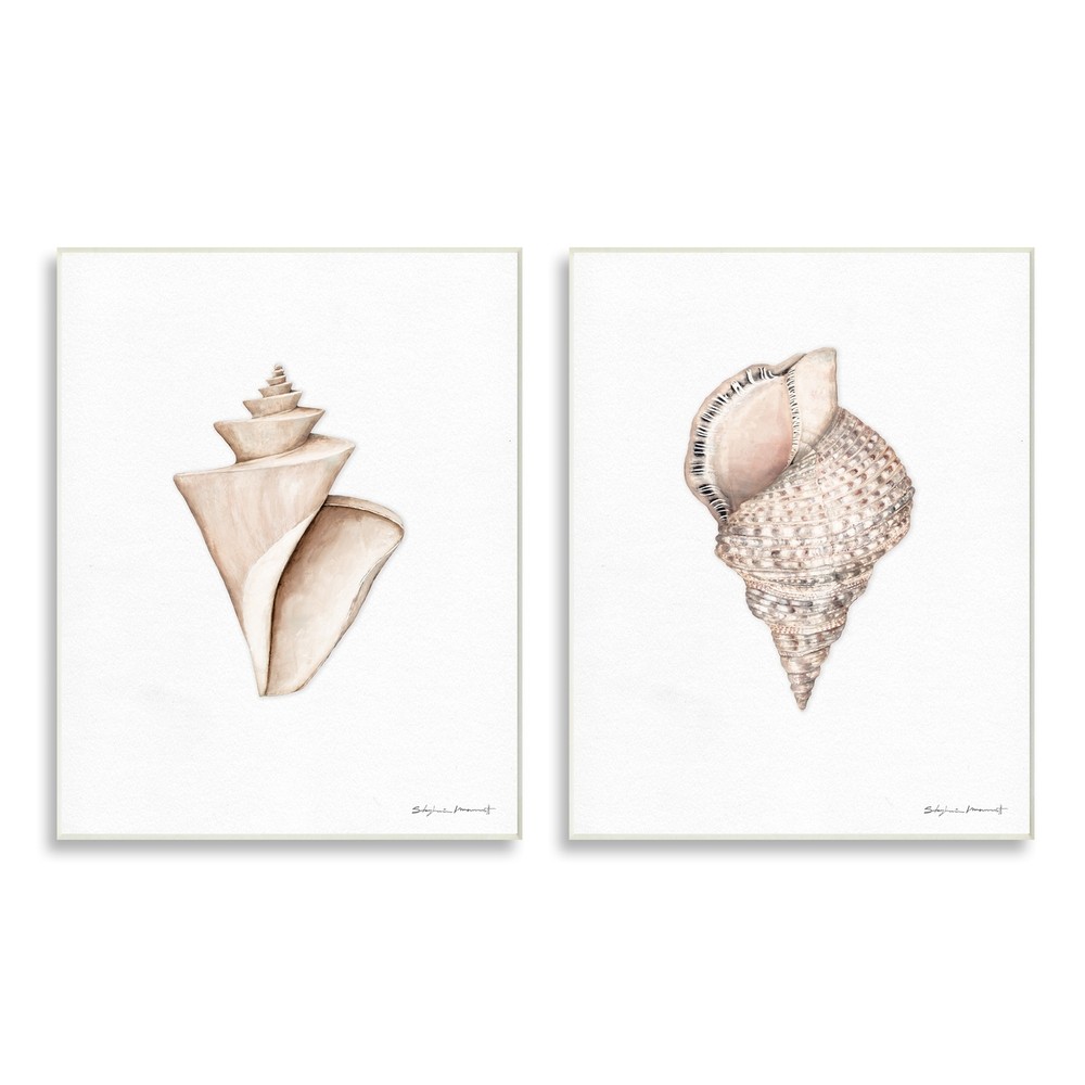 Stupell Tranquil Spiral Sea Shells Soft Marine Life
