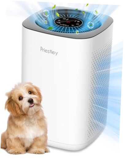 Air Purifier for Bedroom, Home, Dorm Up to 1100Ft², Smart WiFi and Timers, 3