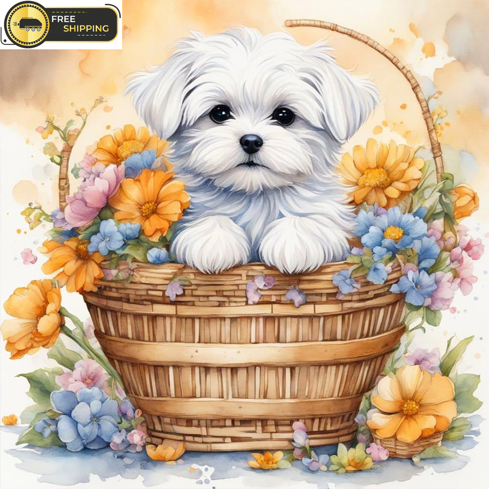 Painting Kits for Diamond Art for Adults, 5D Diamond with Painting for beginner