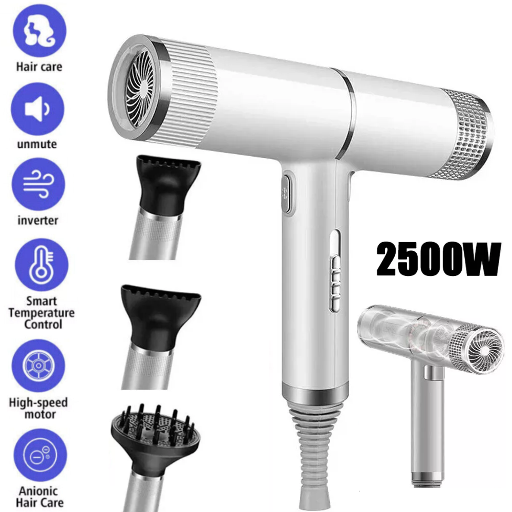 Hair Dryer Blower Professional Negative Ionic Blow Fan Styler Hair Dryer 2500W