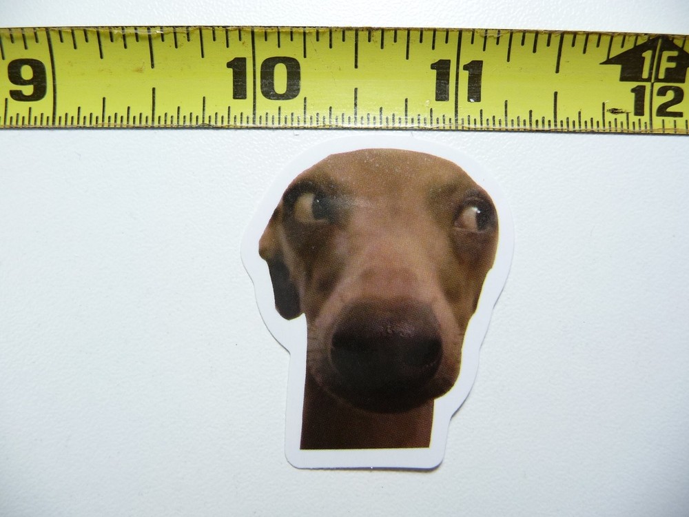 Funny Cute Dog Peeking Over Small Sticker Decal AX139 for Pets