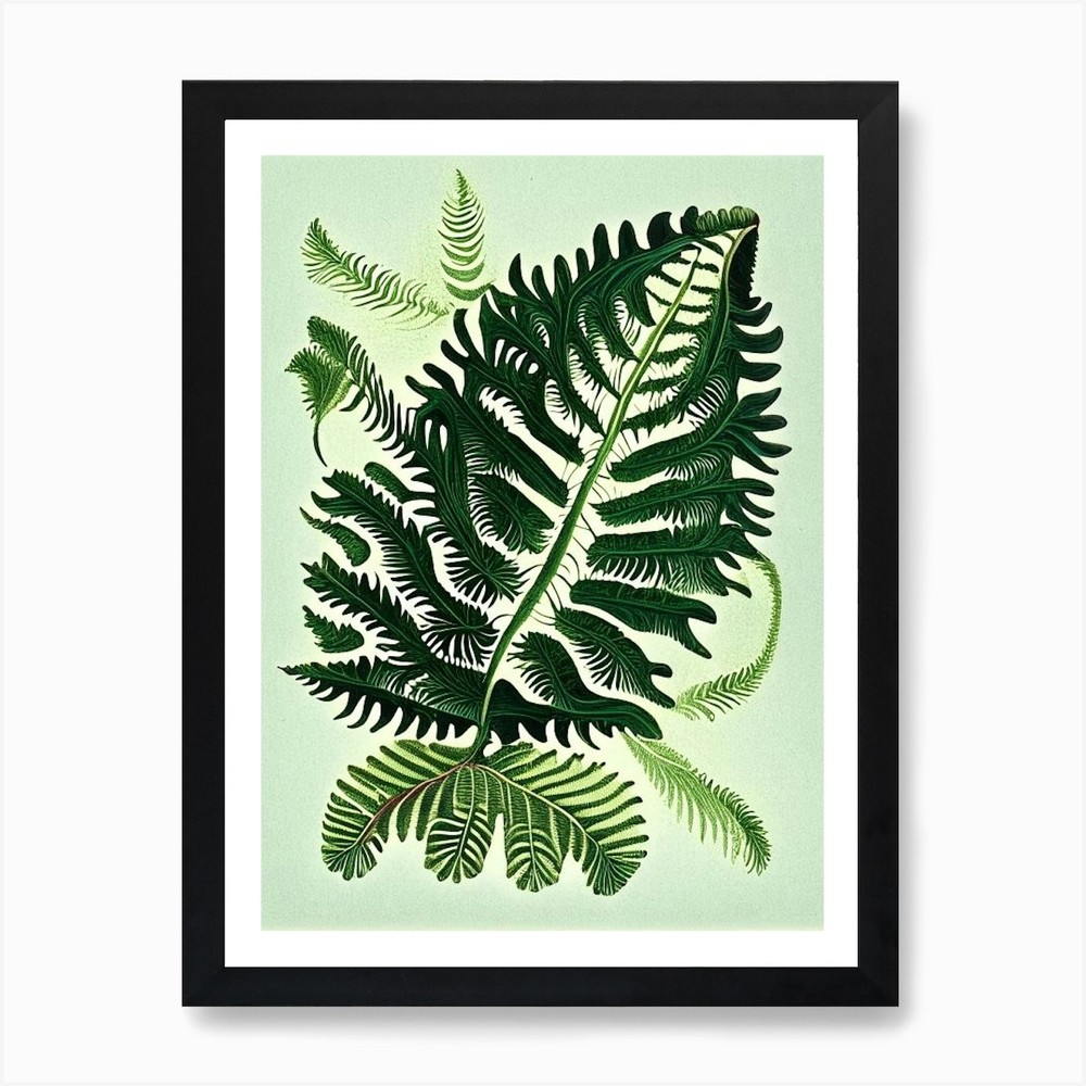 Vintage Upside Down Fern Framed Wall Art Canvas Print Botanical Decor