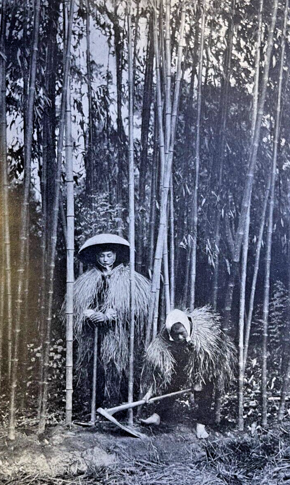 1913 Commercial Crisis in Japan illustrated