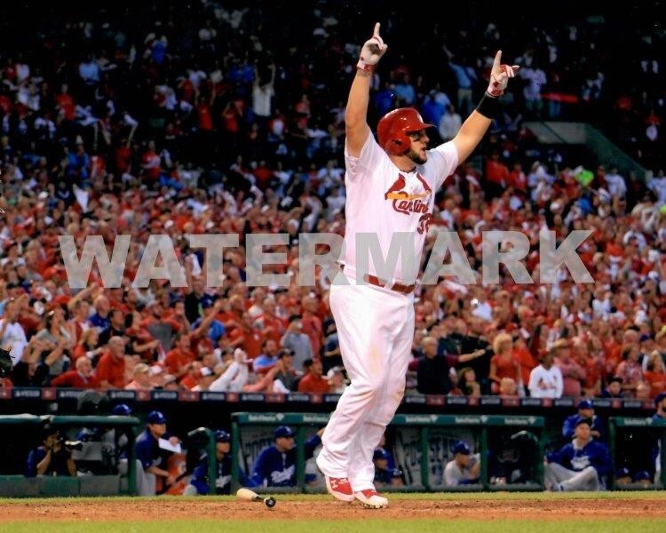 MATT ADAMS St Louis Cardinals 8 x 10 Photo Poster Baseball