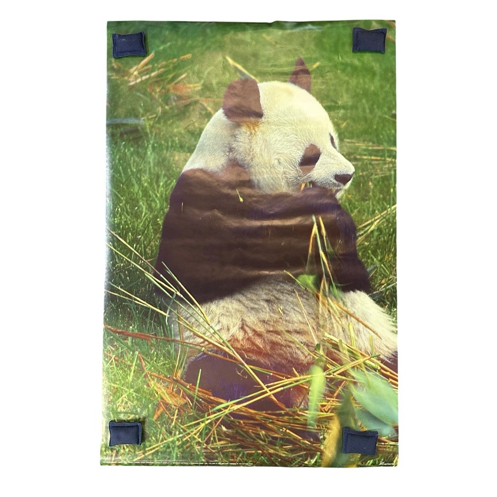 Vintage Poster 1983 Giant Panda Verkerke 36.5