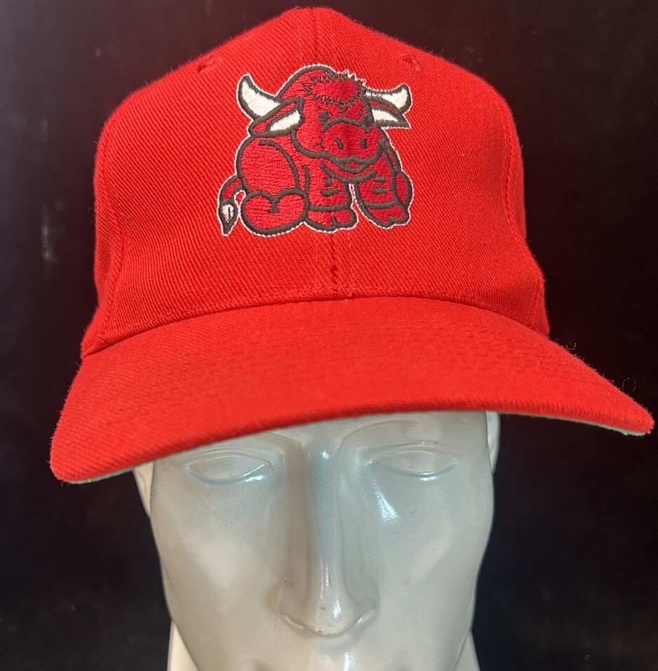 Vtg 90s Chicago Bulls Acrylic & Wool Snapback Hat Cap Michael Jordan KC Caps