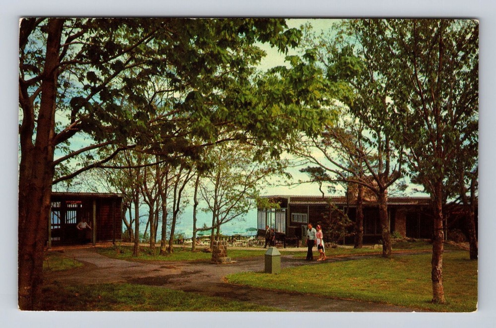 Shenandoah National Park, Skyland Dining Room, Antique Vintage Souvenir Postcard