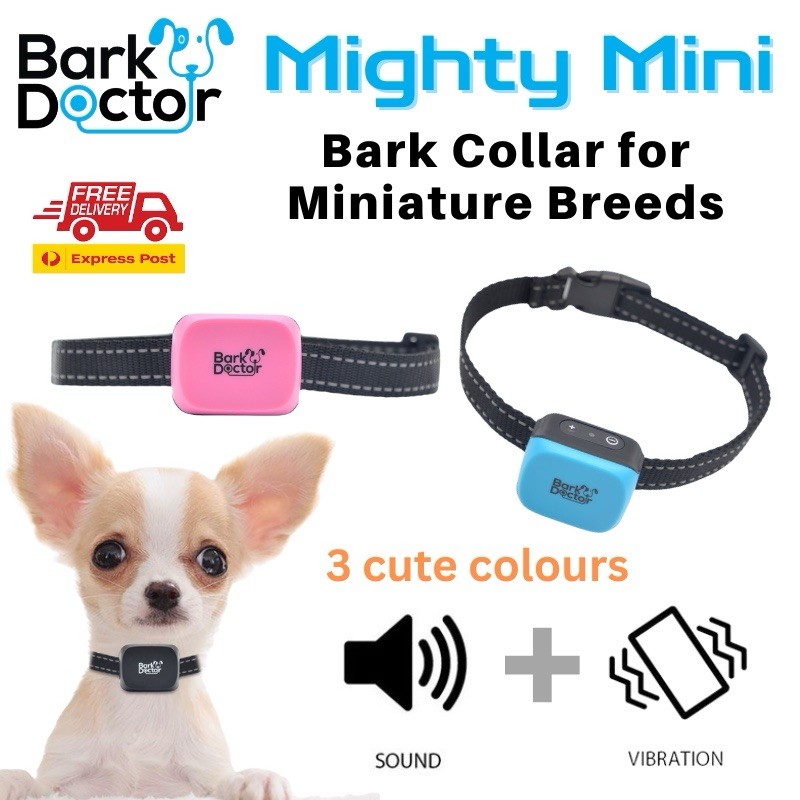 Bark Doctor Anti-Bark E-Collar for Extra Small Dogs Like Chihuahuas and Maltese