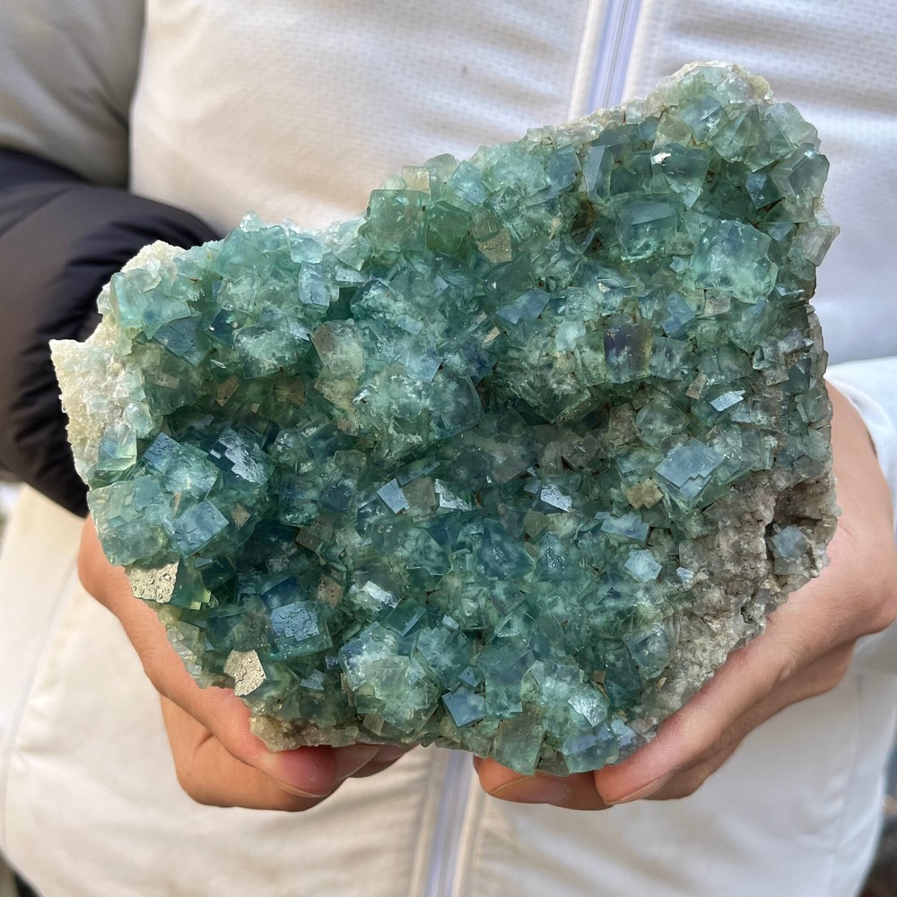 2.6LB Natural Green Fluorite Quartz Crystal Cluster Mineral Specimen
