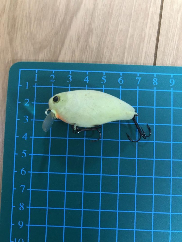 Jackall Crankbait 0 Footer Fishing Lure for Bass Anglers