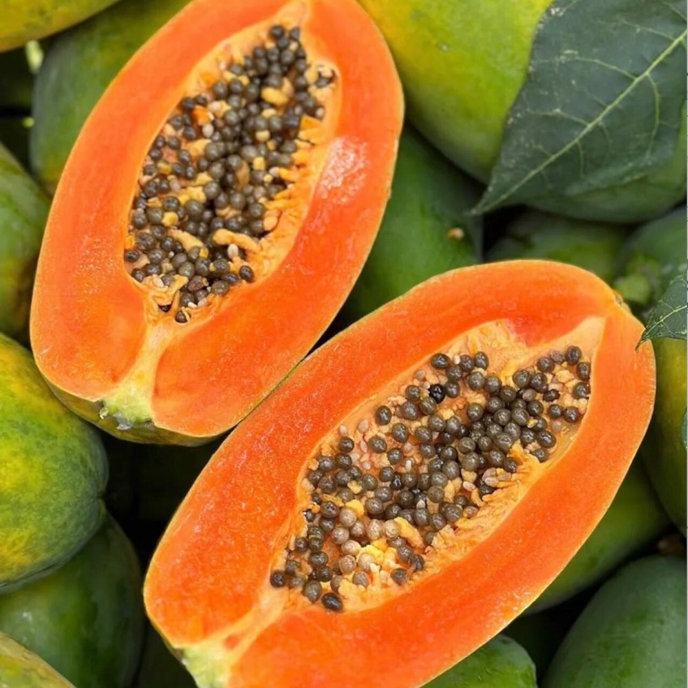 50pcs Red Heart Creamy Papaya Seeds - The Best of Papayas for Your Home Garden