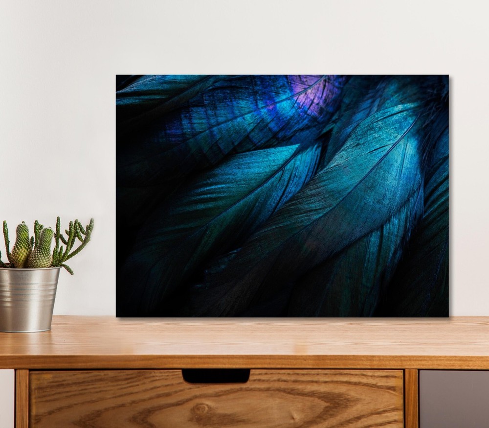 Stylish Dark Feather 5mm thick Plastic Poster Ready to Hang 60x45cm