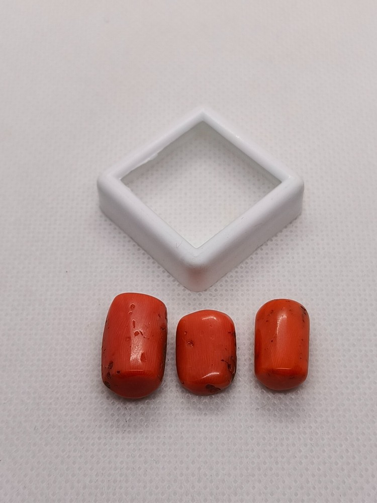 3 Pieces 100% Natural Antique Orange Coral Oval Cabochon Lot -Italian Orange Cab