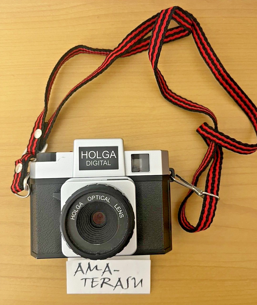 Holga Digital Toy Camera Black Silver With Strap No Box Used
