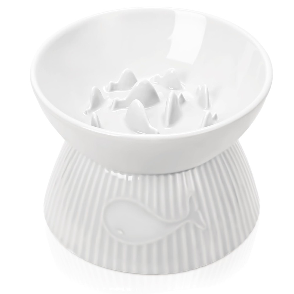 Raised Cat Slow Feeder, Ceramic Slow Feeder Cat Bowl, Upgraded Ridges to Prev...