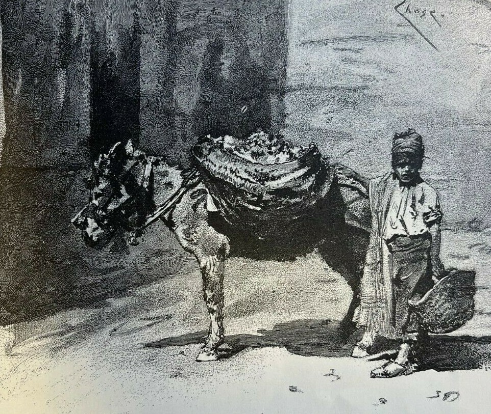 1889 Street Life in Madrid Spain  illustrated