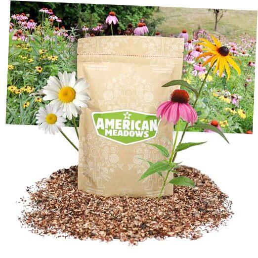 Perennial Beauty Wildflower Seed Mix (1 lb) — Low Maintenance and Easy to 1 LB