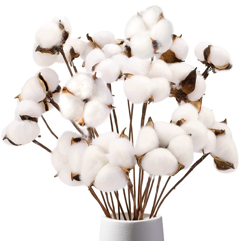 8 PK Cotton Stems Natural Dried Total 15 Bolls Sprigs Blooms Floral Vase Fillers
